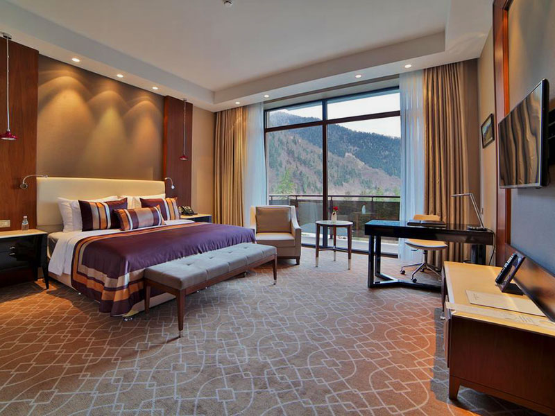 Top 10 Luxurious Hotels in